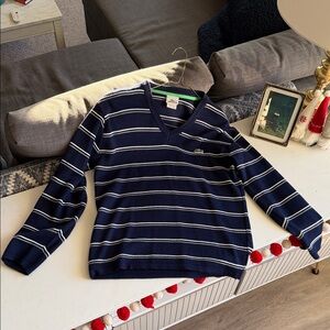 Lacoste Men's V-Neck Sweater in Navy and White Stripes